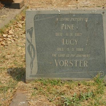 VORSTER Pine -1967 &amp; Lucy -1989