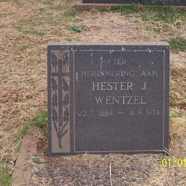 WENTZEL Hester J. 1884-1974