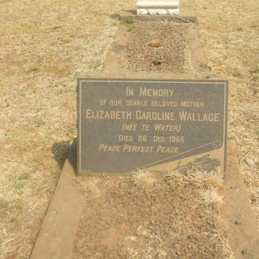 WALLACE Elizabeth Caroline nee TE WATER -1965
