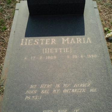 WALT Hester Maria, van der 1969-1990