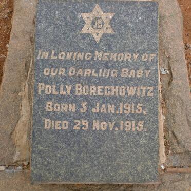 BORECHOWITZ Polly 1915-1915