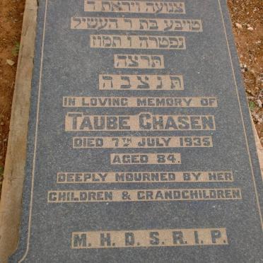 CHASEN Taube -1935