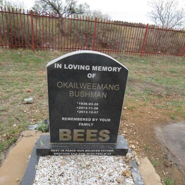 BEES Okailweemang Bushman 1936-2013