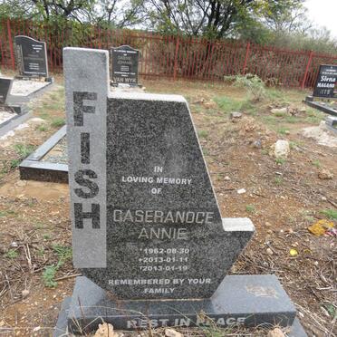 FISH Caseranoce Annie 1962-2013
