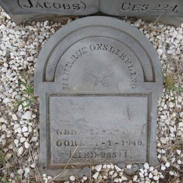 GILIOMEE Jacoba A. nee JACOBS 1919-1949 :: GILIOMEE Johann? M. 19??-1949 _2