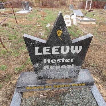 LEEUW Hester Kenosi 1958-2005