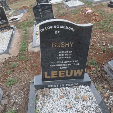 LEEUW Bushy 1983-2017