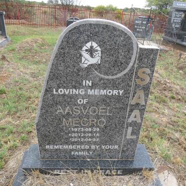 SAAL Aasvoel Mecro 1973-2012