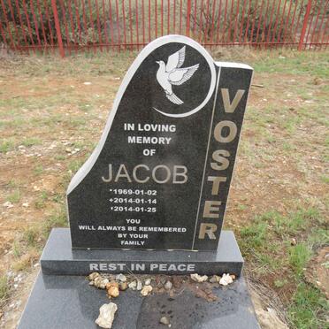 VOSTER Jacob 1969-2014