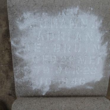 BRUIN Johanna Adriana, de 1879-1946
