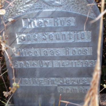 ROOS Nicolaas 1931-1931