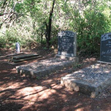 1. Overview on Boekenhoutfontein cemetery