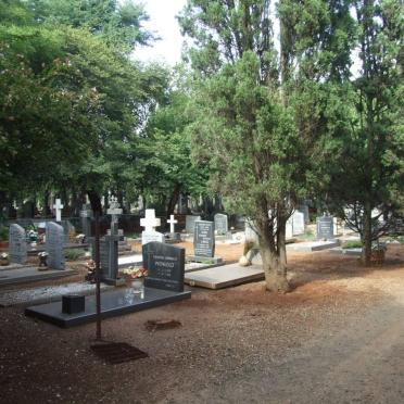 7. Overview