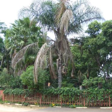 6. Overview