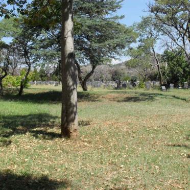5. Overview