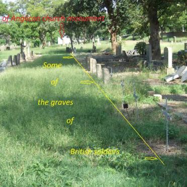 3. Overview