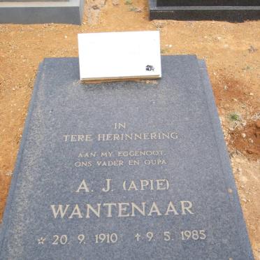 WANTENAAR A.J. 1910-1985