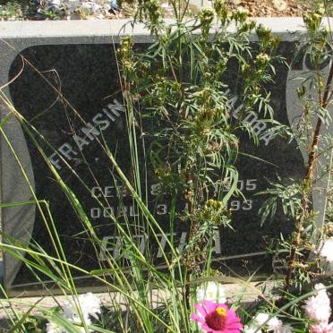 BOTHA Francina Jacoba 1905-1993