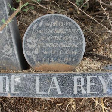 REY Dirkie, de la 1984-1987