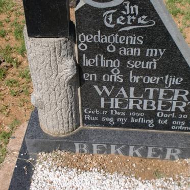 BEKKER Walter Herbert 1950-1971