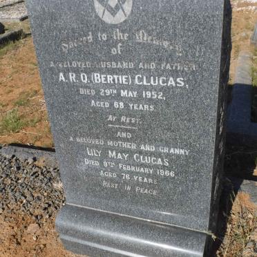 CLUCAS A.R.Q. -1952 &amp; Lily May -1966