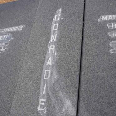 CONRADIE Pieter Jacobus 1911-1985 &amp; Maria M.W. BOTHA 1914-