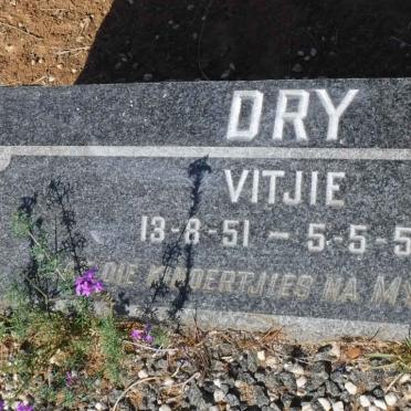 DRY Vitjie 1951-1952