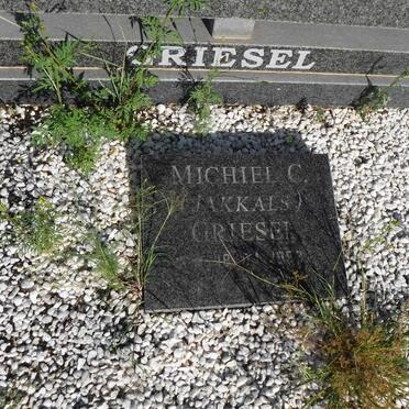 GRIESEL Michiel C. -195?