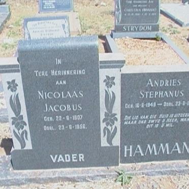 HAMMAN Nicolaas Jacobus 1907-1956 :: HAMMAN Andries Stephanus 1949-1956