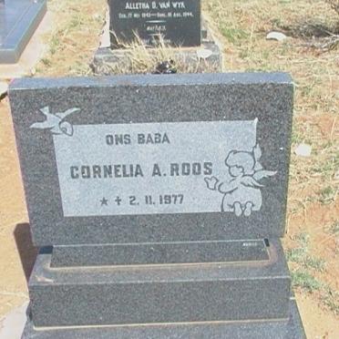 ROOS Cornelia A. 1977-1977