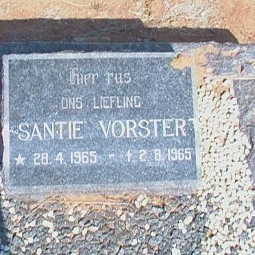 VORSTER Santie 1965-1965