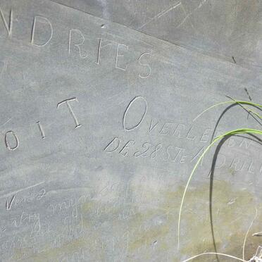 TOIT Cornelius Andries, du 1914-1916