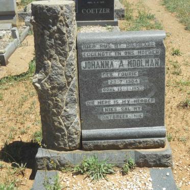 MOOLMAN Johanna A. nee FOURIE 1904-1953