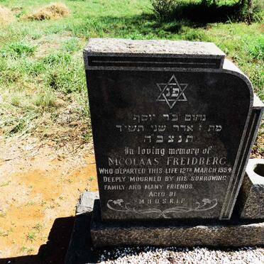 FREIDBERG Nicolaas -1954