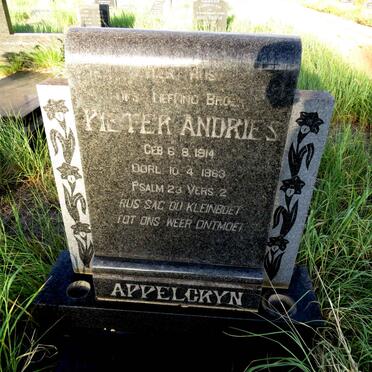 APPELGRYN Pieter Andries 1914-1963