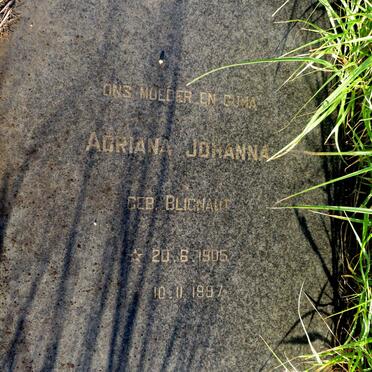 COMBRINK Johan Hendrik 1898-1978 & Adriana Johanna BLIGNAUT 1905-1997_3