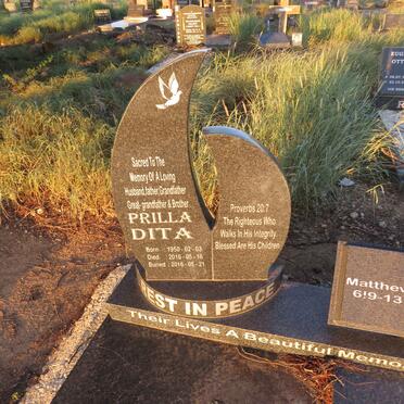 DITA Prilla 1950-2016