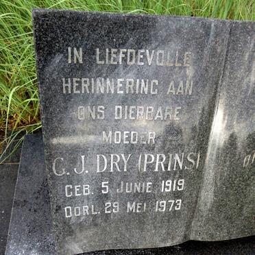 DRY G.J. nee PRINS 1919-1973 