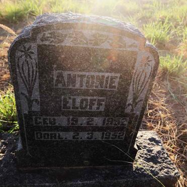 ELOFF Antonie 1952-1952