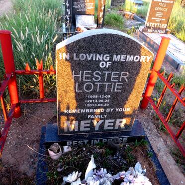 MEYER Hester Lottie 1958-2013