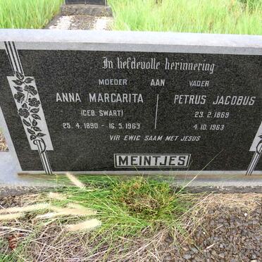MEINTJES Petrus Jacobus 1869-1963 & Anna Margarita SWART 1890-1963 