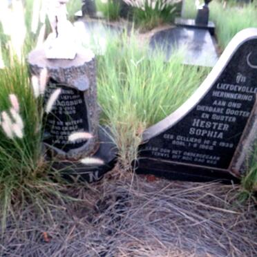 STEYN Johannes Hendrik 1936-1965 & Hester Sophia CELLIERS 1938-1965 :: STEYN Pieter Jacobus 1961-1965 _1