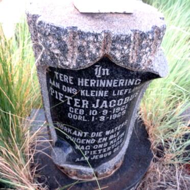 STEYN Johannes Hendrik 1936-1965 & Hester Sophia CELLIERS 1938-1965 :: STEYN Pieter Jacobus 1961-1965 _4