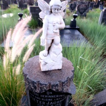 STEYN Johannes Hendrik 1936-1965 & Hester Sophia CELLIERS 1938-1965 :: STEYN Pieter Jacobus 1961-1965 _5