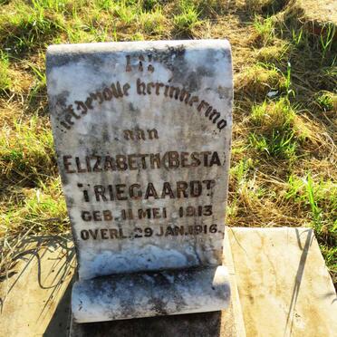 TRIEGAARDT Elizabeth 1913-1916