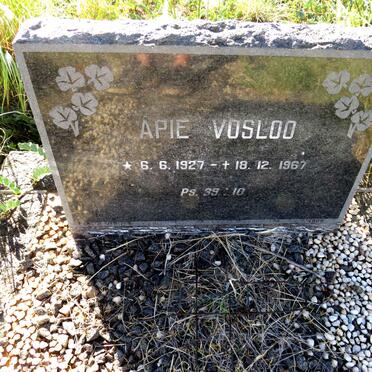 VOSLOO Apie 1927-1967