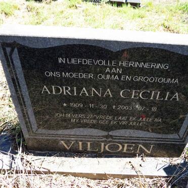 VILJOEN Adriana Cecilia 1909-2003