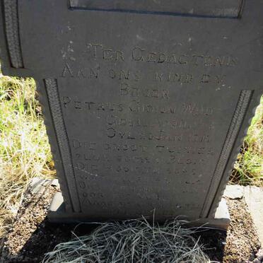 WIID Petrus Gidion 191?-1919