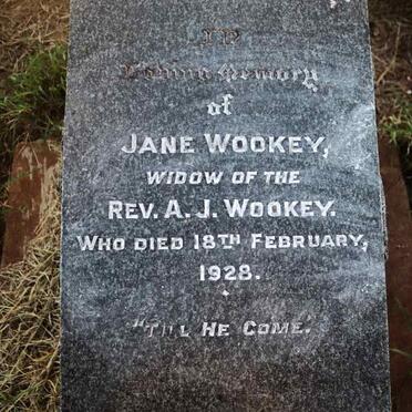 WOOKEY Jane -1928
