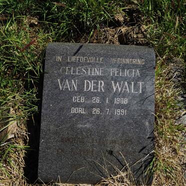 WALT Celestine Felicia, van der 1908-1991